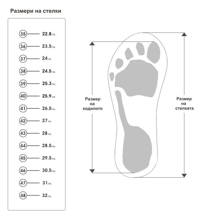 сабо Леон размер стелка